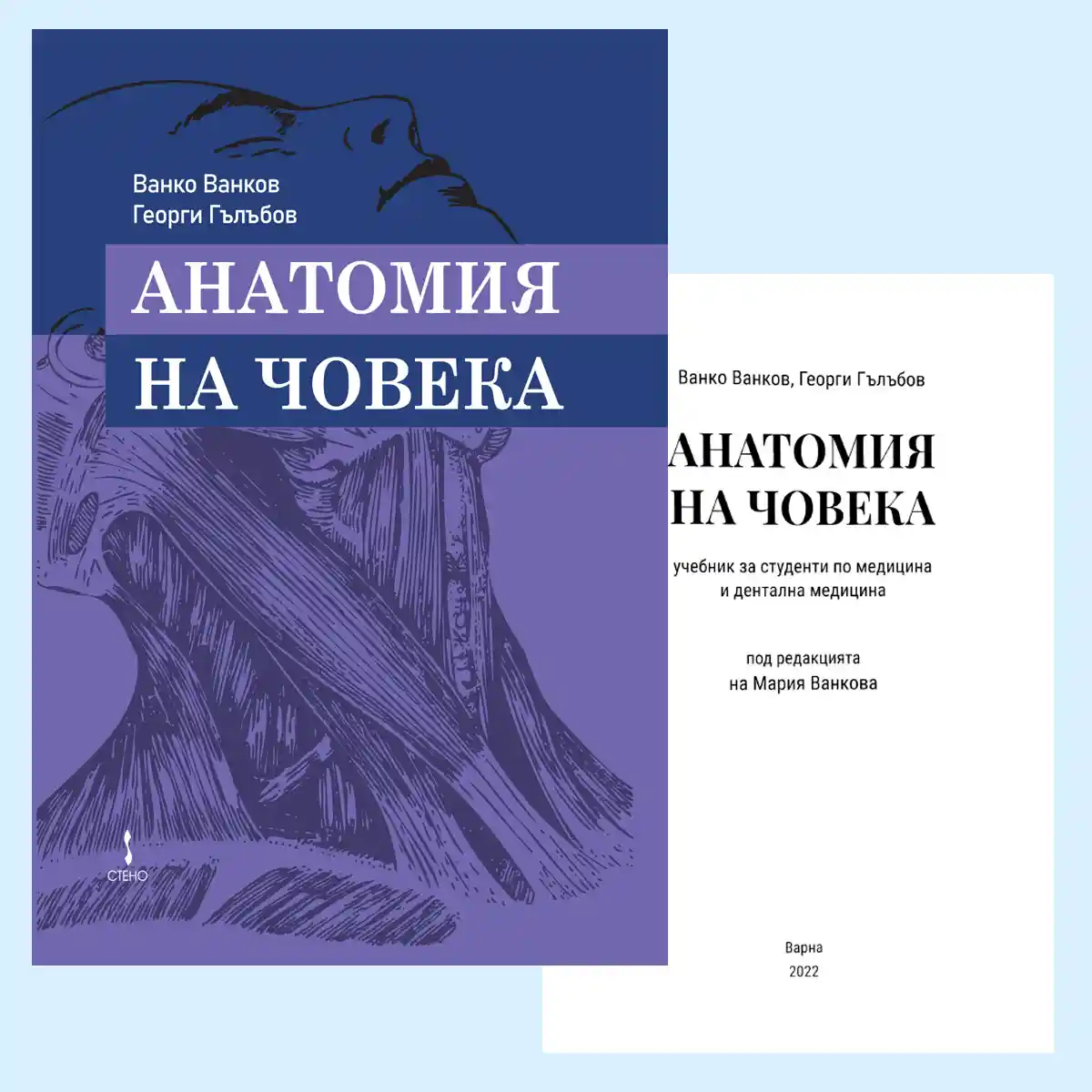 Анатомия на човека от Ванко Ванков и Георги Гълъбов, класически ресурс за студенти по медицина и дентална медицина